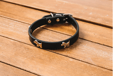 K9 Collars